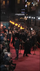 Alfombra roja en el preestreno de la Guerra de los Rohirrim en Londres el 03/12/2024