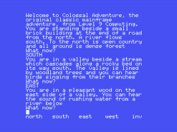 Colossal Adventure (1983) - 6