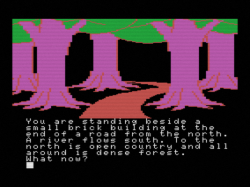Colossal Adventure (1983) - 7