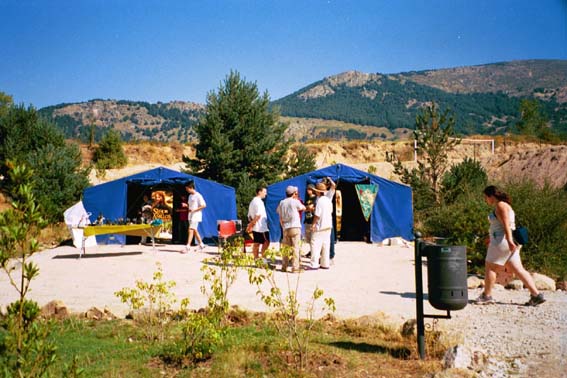 Vista de los pabellones, con la mesa del rol