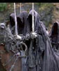 Nazgul